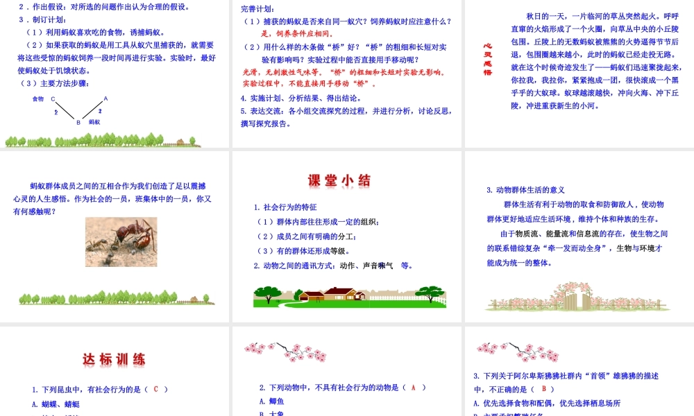 八年级生物上册 5.2.3 社会行为课件 （新版）新人教版-（新版）新人教版初中八年级上册生物课件