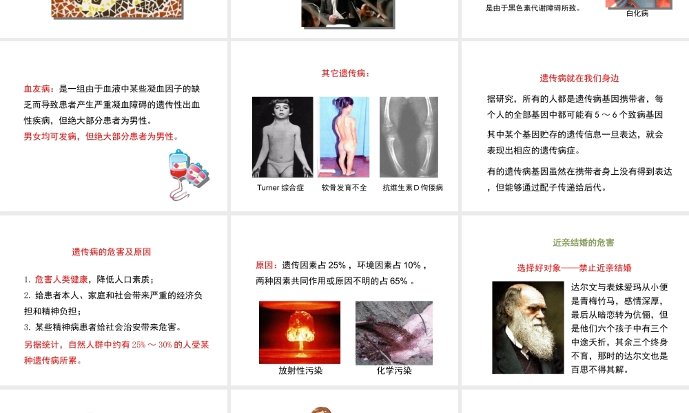 八年级生物上册 20.6 遗传病和人类健康课件（2）（新版）北师大版-人教版初中八年级全册生物课件