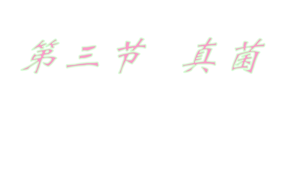 八年级生物上册 5.4.3《真菌》课件3 （新版）新人教版-（新版）新人教版初中八年级上册生物课件