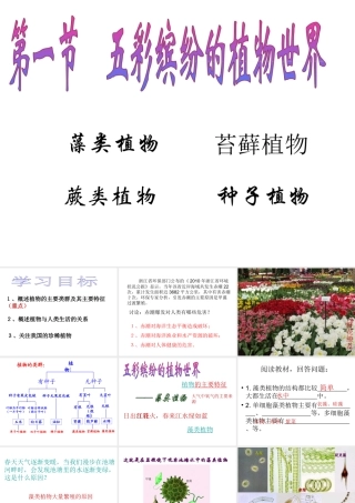 八年级生物上册 第14章 第1节 五彩缤纷的植物世界课件 （新版）苏教版-（新版）苏教版初中八年级上册生物课件