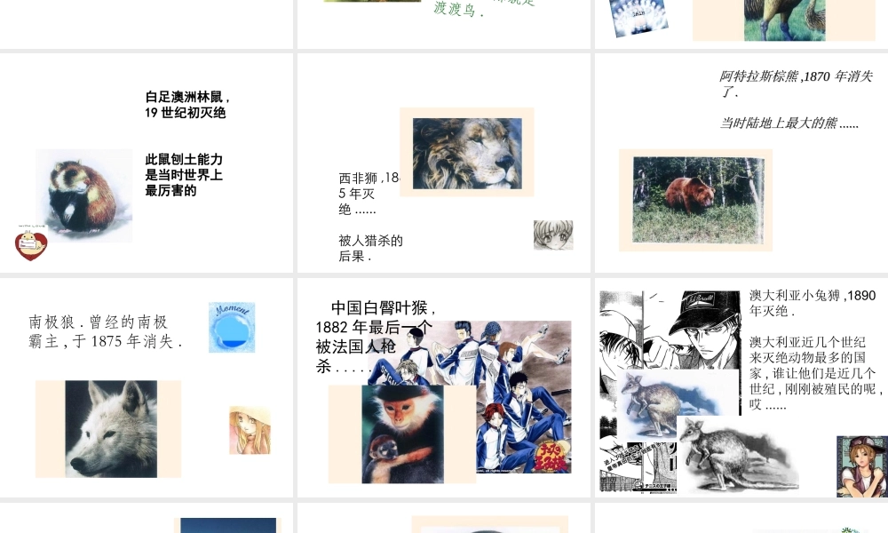 八年级生物上册 6.3 保护生物的多样性课件 新人教版