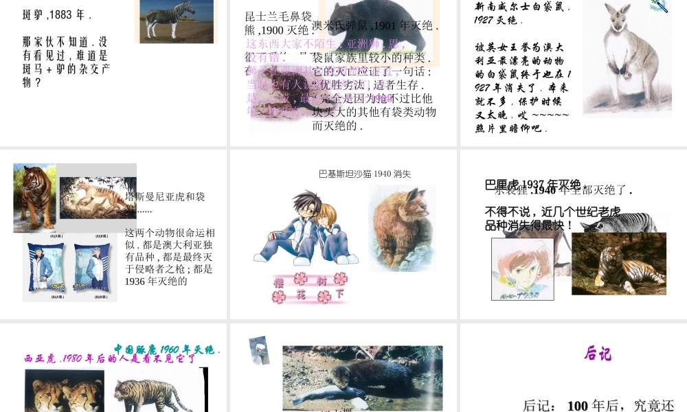 八年级生物上册 6.3 保护生物的多样性课件 新人教版