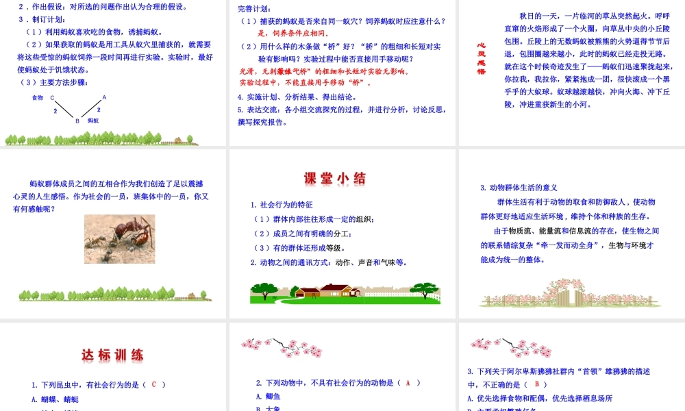 八年级生物上册 5.2.3 社会行为课件 （新版）新人教版-（新版）新人教级上册生物课件