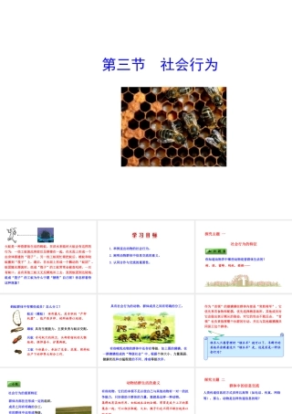 八年级生物上册 5.2.3 社会行为课件 （新版）新人教版-（新版）新人教级上册生物课件