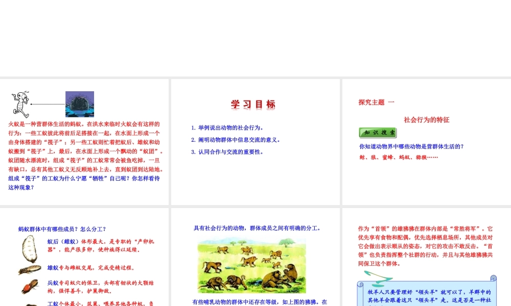 八年级生物上册 5.2.3 社会行为课件 （新版）新人教版