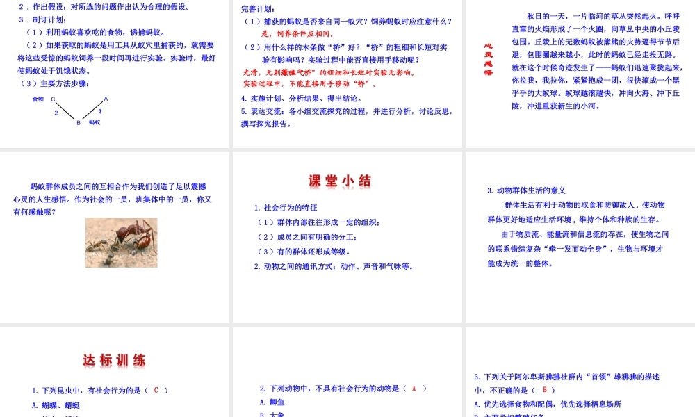 八年级生物上册 5.2.3 社会行为课件 （新版）新人教版