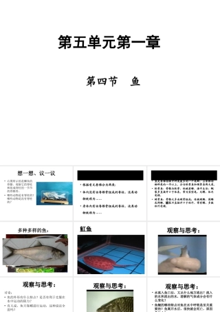 八年级生物上册 5.1.4 鱼课件 （新版）新人教版