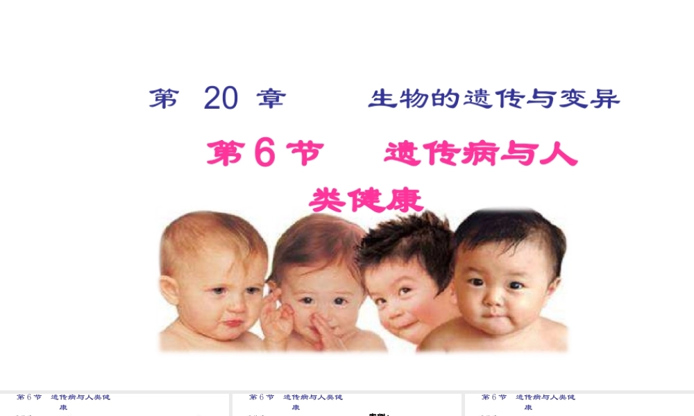 八年级生物上册 20.6《遗传病和人类健康》课件2 （新版）北师大版-（新版）北师大版初中八年级上册生物课件