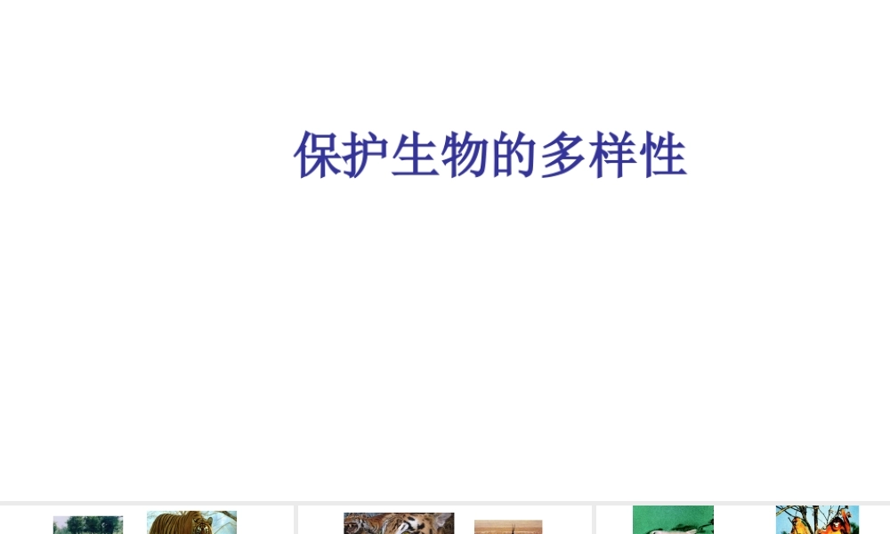 八年级生物上册 6.3 保护生物的多样性课件 新人教版-新人教级上册生物课件