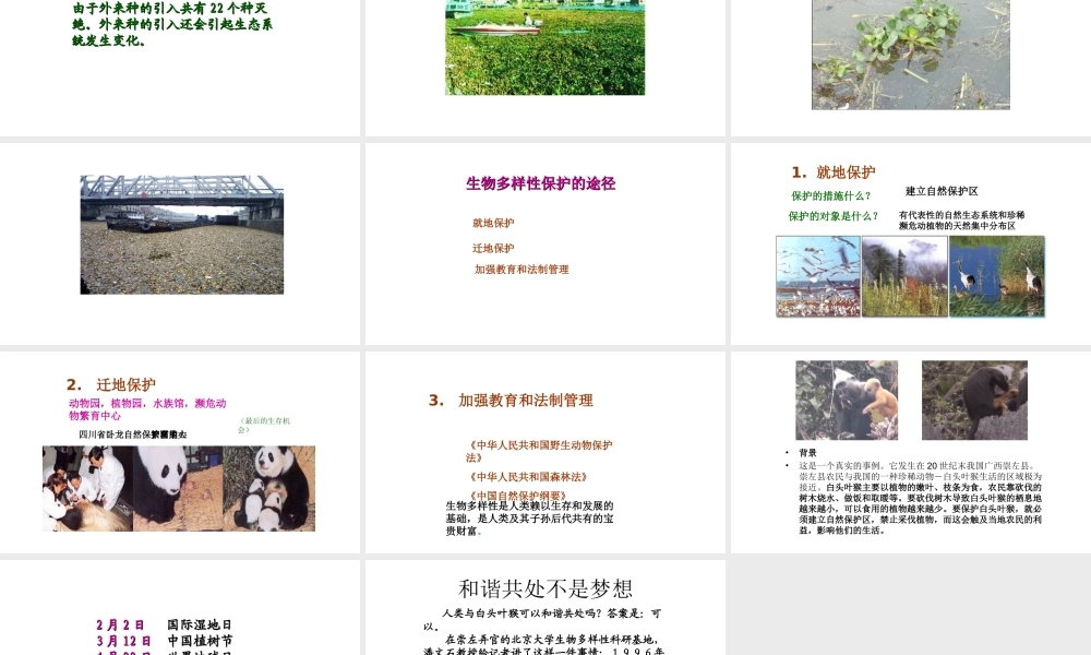 八年级生物上册 6.3 保护生物的多样性课件 新人教版-新人教级上册生物课件