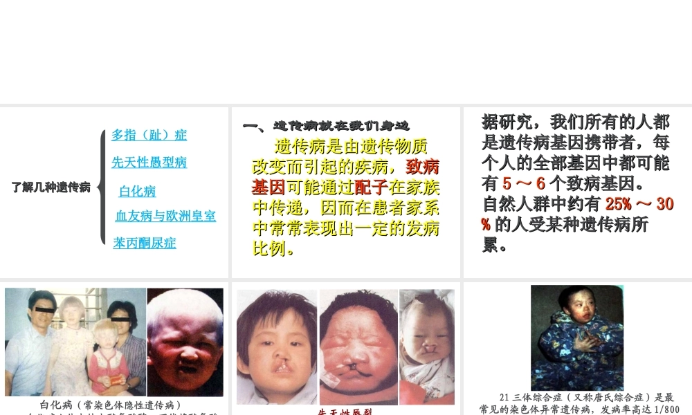 八年级生物上册 20.6《遗传病和人类健康》课件3 （新版）北师大版-（新版）北师大版初中八年级上册生物课件