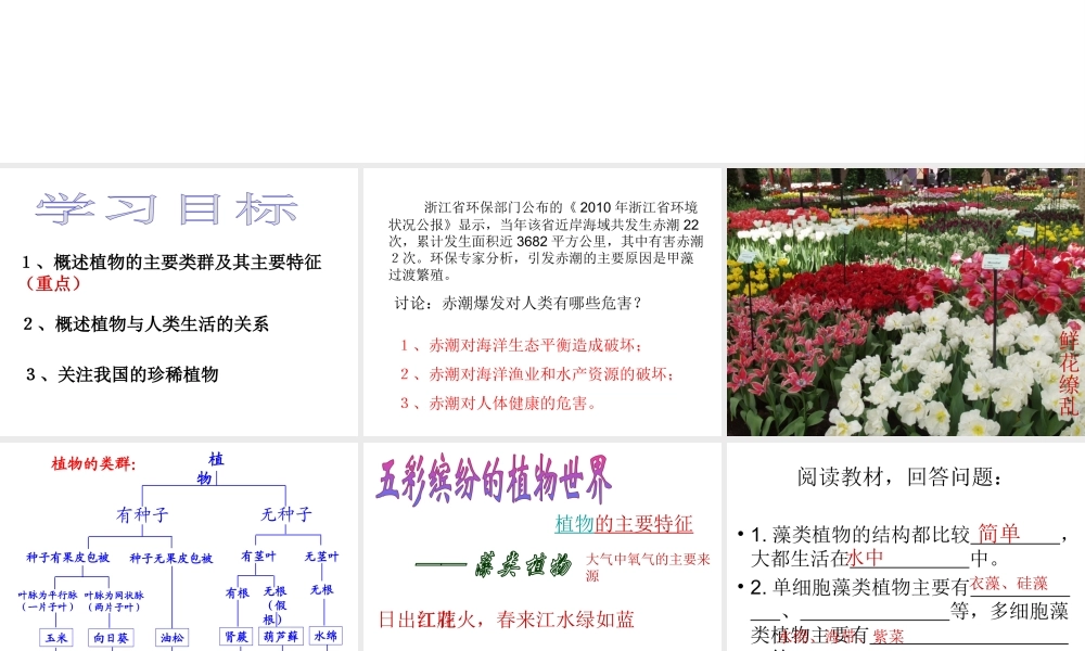 八年级生物上册 第14章 第1节 五彩缤纷的植物世界课件 （新版）苏教版-（新版）苏教级上册生物课件