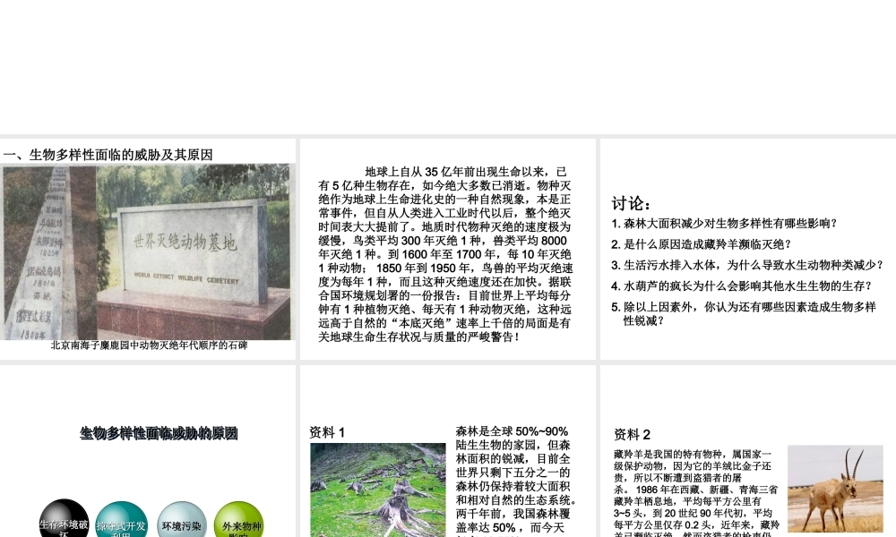 八年级生物上册 6.3 保护生物的多样性课件1 （新版）新人教版
