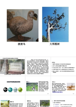 八年级生物上册 6.3 保护生物的多样性课件1 （新版）新人教版