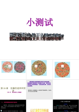 八年级生物上册 20.6《遗传病和人类健康》课件4 （新版）北师大版-（新版）北师大版初中八年级上册生物课件