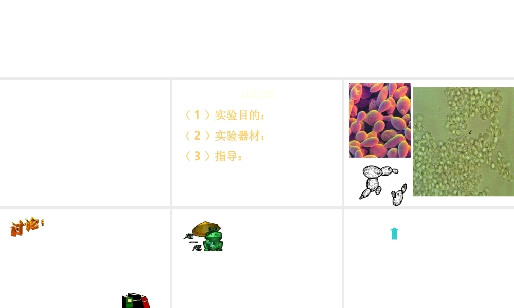 八年级生物上册 第14章 第1节生物的无性生殖课件 苏教版