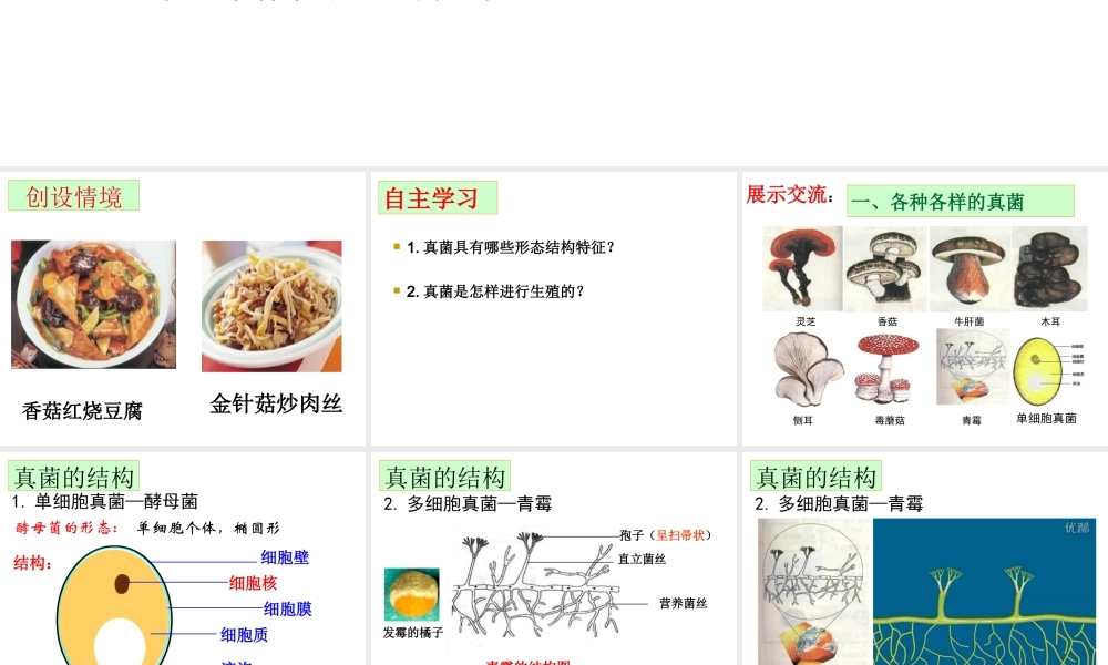 八年级生物上册 5.4.3真菌课件 （新版）新人教版-（新版）新人教版初中八年级上册生物课件