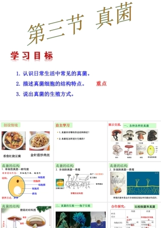 八年级生物上册 5.4.3真菌课件 （新版）新人教版-（新版）新人教版初中八年级上册生物课件