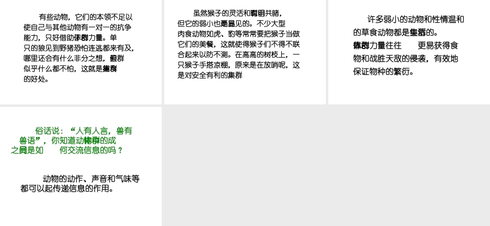 八年级生物上册 5.2.3 社会行为课件1 （新版）新人教版