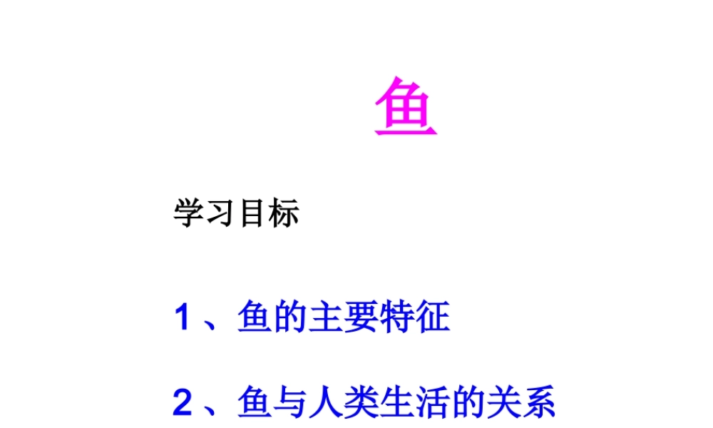 八年级生物上册 5.1.4 鱼课件2 （新版）新人教版-（新版）新人教级上册生物课件