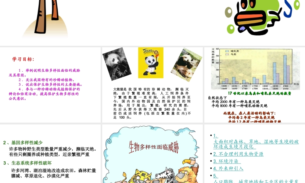 八年级生物上册 6.3 保护生物的多样性课件3 （新版）新人教版