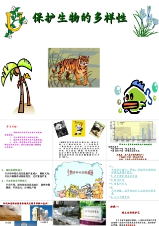 八年级生物上册 6.3 保护生物的多样性课件3 （新版）新人教版