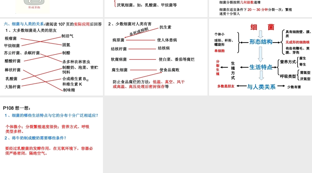 八年级生物上册 21第一章细菌的控制和利用课件 冀教版