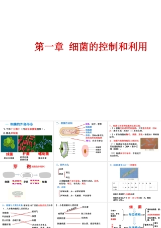 八年级生物上册 21第一章细菌的控制和利用课件 冀教版