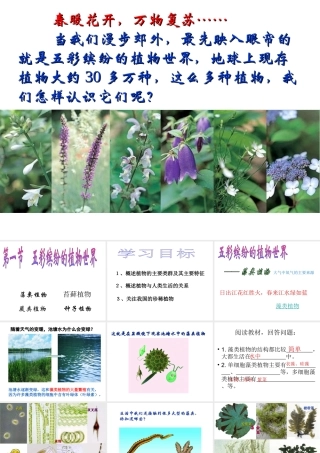 八年级生物上册 第14章 第1节五彩缤纷的植物世界课件 （新版）苏教版-（新版）苏教版初中八年级上册生物课件