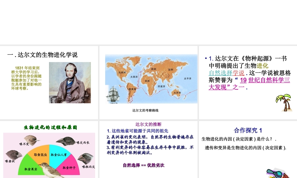 八年级生物上册 24.3 生物进化的学说课件 苏教版