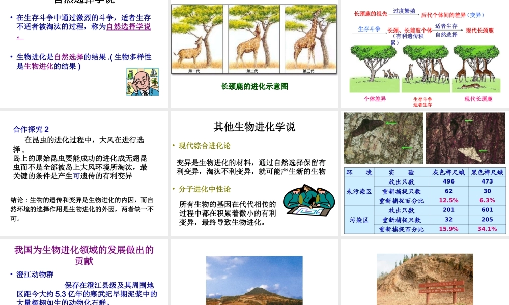 八年级生物上册 24.3 生物进化的学说课件 苏教版