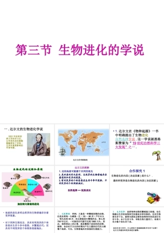 八年级生物上册 24.3 生物进化的学说课件 苏教版