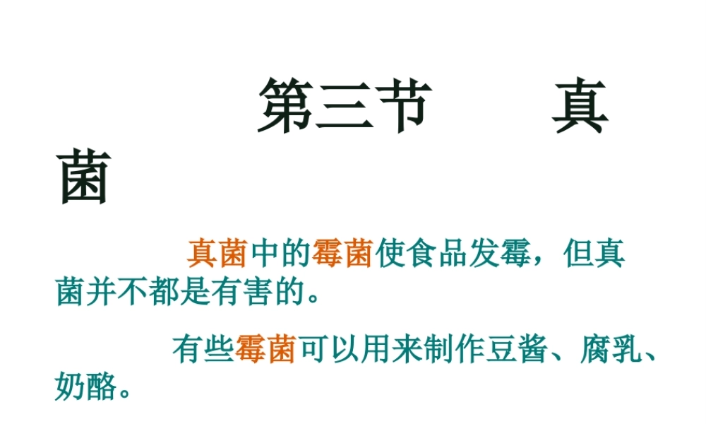 八年级生物上册 5.4.3真菌课件 人教新课标版