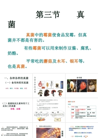 八年级生物上册 5.4.3真菌课件 人教新课标版