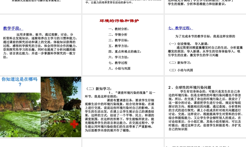 八年级生物上册 25.2 环境的污染与保护说课课件 （新版）苏科版-（新版）苏科版初中八年级上册生物课件