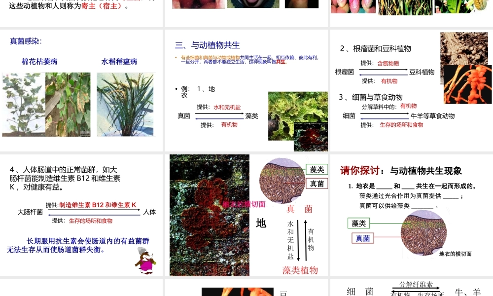 八年级生物上册 5.4.4 细菌和真菌的作用课件 （新版）新人教版-（新版）新人教版初中八年级上册生物课件