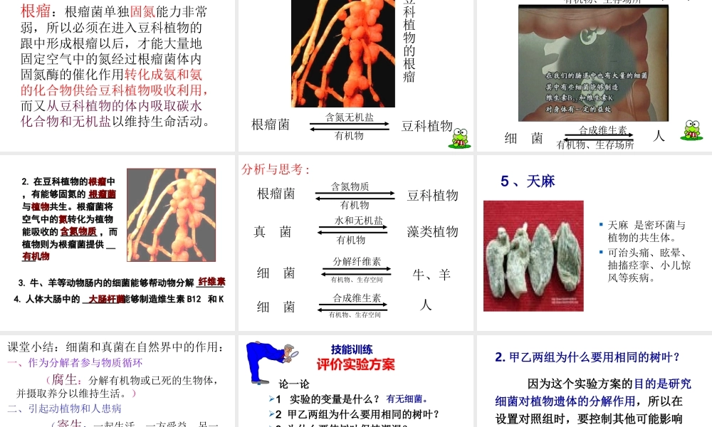 八年级生物上册 5.4.4 细菌和真菌的作用课件 （新版）新人教版-（新版）新人教版初中八年级上册生物课件