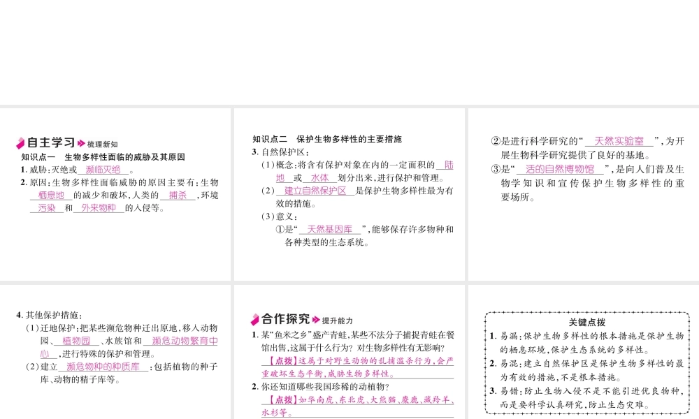 八年级生物上册 6.3 保护生物的多样性作业课件 （新版）新人教版-（新版）新人教版初中八年级上册生物课件