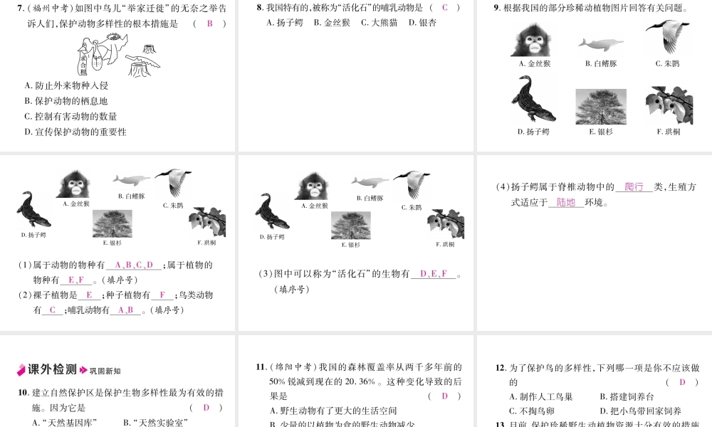 八年级生物上册 6.3 保护生物的多样性作业课件 （新版）新人教版-（新版）新人教版初中八年级上册生物课件