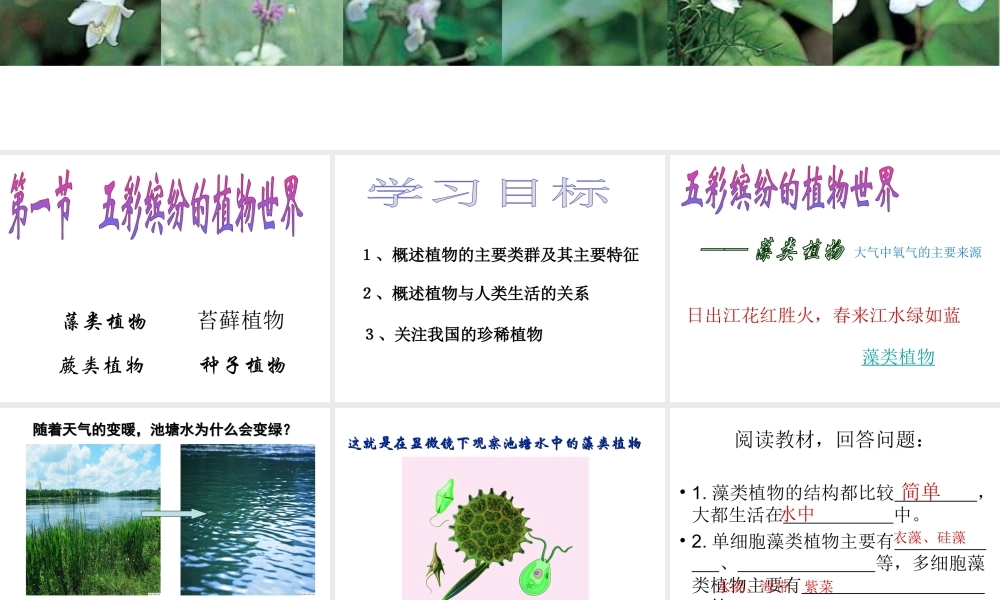 八年级生物上册 第14章 第1节五彩缤纷的植物世界课件 （新版）苏教版-（新版）苏教级上册生物课件