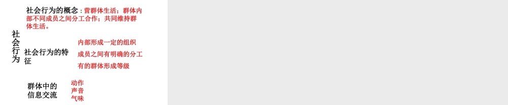 八年级生物上册 5.2.3 社会行为课件2 （新版）新人教版