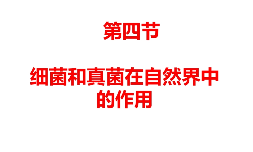 八年级生物上册 5.4.4 细菌和真菌的作用课件 （新版）新人教版-（新版）新人教级上册生物课件