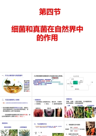 八年级生物上册 5.4.4 细菌和真菌的作用课件 （新版）新人教版-（新版）新人教级上册生物课件
