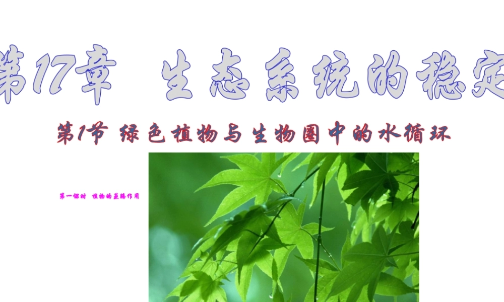 八年级生物上册 《 绿色植物与生物圈中的水循环》课件 济南版