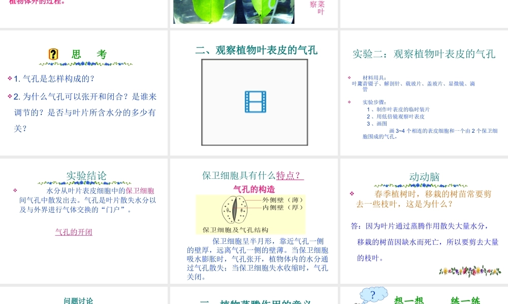 八年级生物上册 《 绿色植物与生物圈中的水循环》课件 济南版