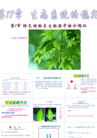 八年级生物上册 《 绿色植物与生物圈中的水循环》课件 济南版