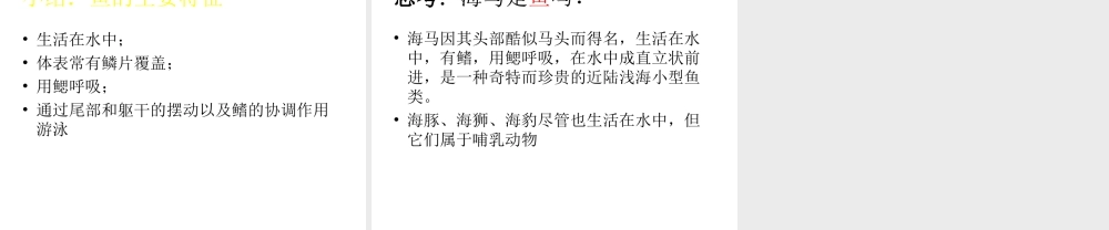 八年级生物上册 5.1.4 鱼课件4 （新版）新人教版-（新版）新人教级上册生物课件