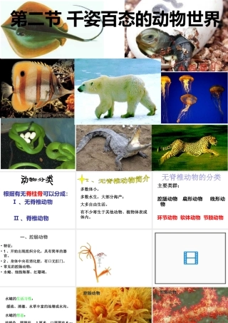 八年级生物上册 第14章 第2节 千姿百态的动物世界课件 （新版）苏教版-（新版）苏教版初中八年级上册生物课件