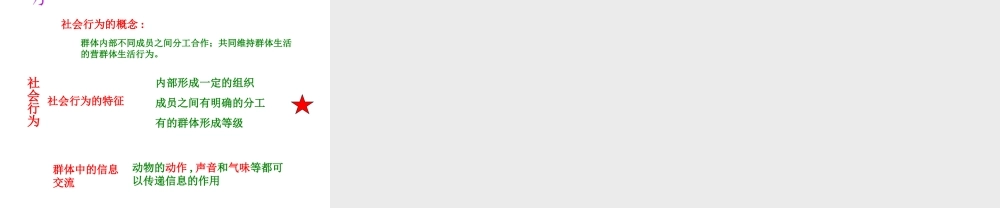八年级生物上册 5.2.3 社会行为课件4 （新版）新人教版