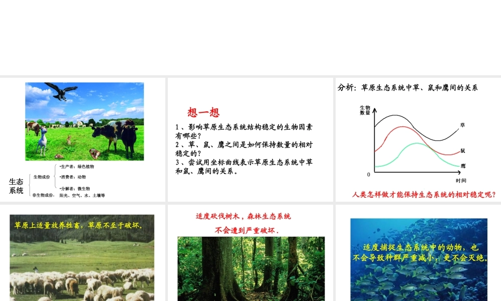 八年级生物上册 6.3 生态系统的自我调节课件 苏科版-苏科版初中八年级上册生物课件